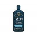 Jason Men`s mitrinošs šampūns un kondicionieris 2in1 vīriešiem, 355ml
