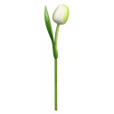 Kemfeldeko koka tulpe White/Green, 34cm