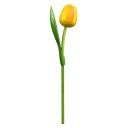 Kemfeldeko koka tulpe Yellow/Orange, 34cm