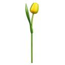 Kemfeldeko koka tulpe Yellow/Green, 34cm