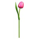 Kemfeldeko koka tulpe Pink/Red, 34cm