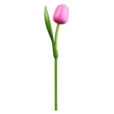 Kemfeldeko koka tulpe Pink/White, 34cm