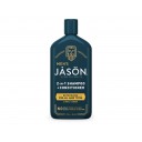 Jason Men`s atsvaidzinošs šampūns un kondicionieris 2in1 vīriešiem, 355ml
