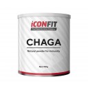 ICONFIT uztura bagātinātājs Chaga (čagas) pulveris, 150g