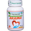 Planet Ayurveda uztura bagātinātājs Ardžuna (arjuna), 60kaps.