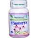 Planet Ayurveda uztura bagātinātājs Indian Echinacea (andrographis), 60kaps.