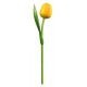 Kemfeldeko koka tulpe Yellow/Orange, 34cm
