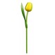 Kemfeldeko koka tulpe Yellow/Green, 34cm
