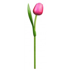 Kemfeldeko koka tulpe Pink/Red, 34cm