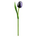 Kemfeldeko koka tulpe Aubergin/White, 34cm