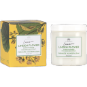 Magrada Linden Flower liepziedu kondicionieris ar bērza ekstraktu, 250ml