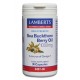 Lamberts uztura bagātinātājs Smiltsērkšķu ogu eļļa 1000mg, 30 kaps.