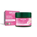 Weleda rožu un baltās tējas ādu izlīdzinošs dienas krēms sejai, 40ml