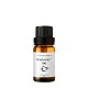 Daknang - 100 Meditation uztura bagātinātājs prāta skaidrībai un koncentrācijai, 10ml