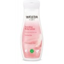 Weleda mandeļu nomierinošs pieniņš ķermenim, 200ml