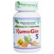Planet Ayurveda uztura bagātinātājs RumoGin 5 (locītavu veselībai), 60kaps.