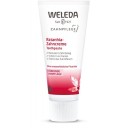 Weleda zobu pasta ārstnieciska ar ratāniju, 75ml