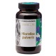 The Beginnings hlorellas pulveris, 180g
