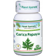 Planet Ayurveda uztura bagātinātājs Carica Papaya (ar papaijas lapu ekstraktu), 60kaps.