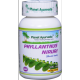 Planet Ayurveda uztura bagātinātājs Phyllanthus Niruri (filants), 60kaps.