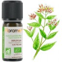Florame organiska krustnagliņas ēteriskā eļļa, 10ml