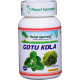 Planet Ayurveda uztura bagātinātājs Gotu Kola, 60kaps.