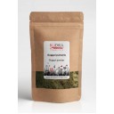 Rudra guggula sveķu pulveris (Guggul), 50g