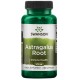 Swanson uztura bagātinātājs Astragalus Root 470mg, 100 kaps.