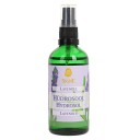 Signe Seebid lavandas ziedūdens, 100ml