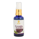 Signe Seebid plūmju eļļa, 50ml
